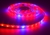 Фитолента 60LED 5050 12В открытая