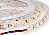 Светодиодная лента 60LED 5050B 12В силикон